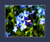 vit D to prevent falls image healthtips images